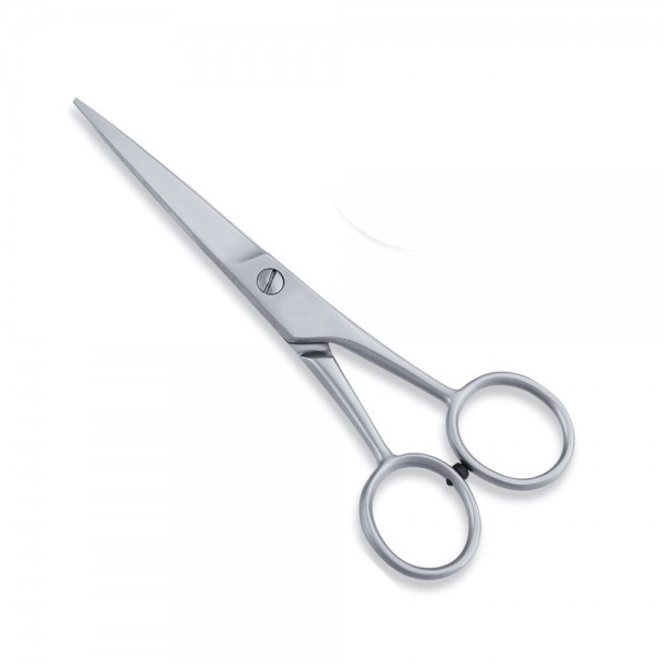Economy Hair Scissors