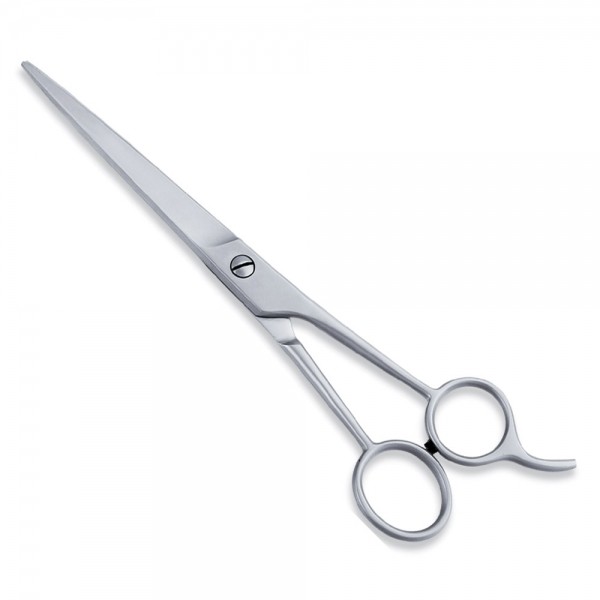 Economy Hair Scissors