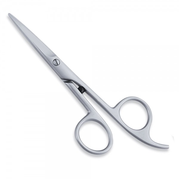 Economy Hair Scissors